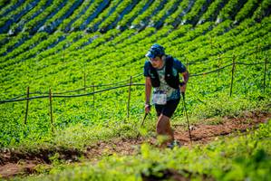 BIB: 2479
                            <button type="button" onclick="openModal(19161715)" class="btn btn-primary btn-sm float-right btn-popup" data-toggle="modal" data-target=".modal-high-quality">
                        <i class="fas fa-shopping-cart"></i> Add to Cart
                    </button>
                                            <button type="button" onclick="isThisMe(19161715, true)" class="btn btn-success btn-sm float-right btn-popup btn-isme hidden" data-toggle="tooltip" data-placement="bottom" title="นี่คือรูปของคุณใช่ไหม คลิกที่นี่เพื่อเอาเข้าอัลบั้ม">
                        <i class="fas fa-plus"></i> Add to album
                    </button>
                    <button type="button" onclick="isThisMe(19161715, false)" class="btn btn-warning btn-sm float-right btn-popup btn-isnotme hidden">
                        <i class="fas fa-ban"></i> Remove from album
                    </button>